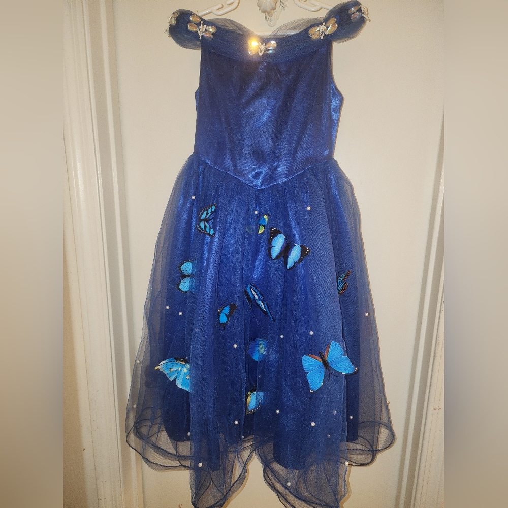 Blue Butterfly Dress